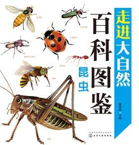 昆虫