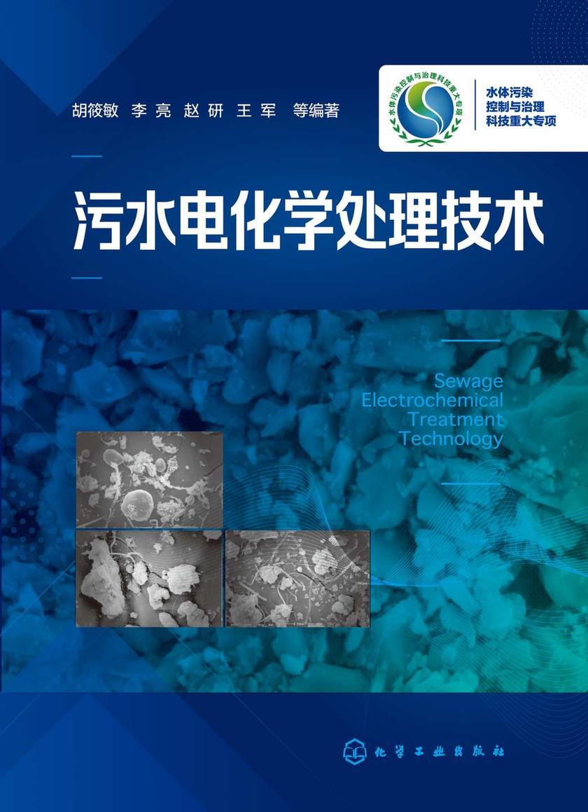 污水电化学处理技术