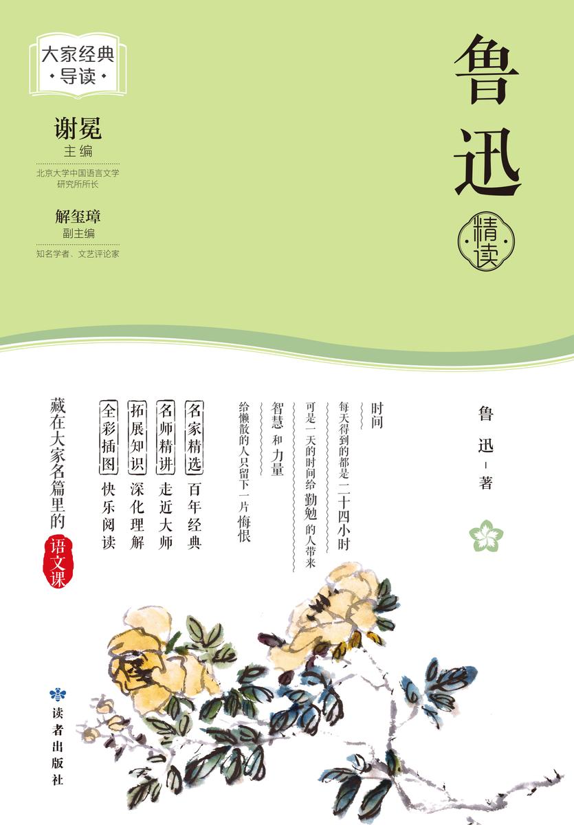 鲁迅精读(大家经典导读)