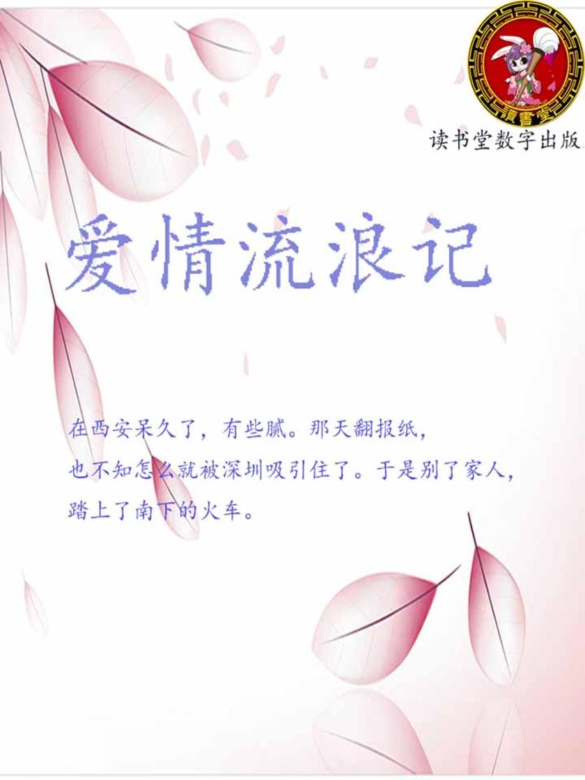 爱情流浪记