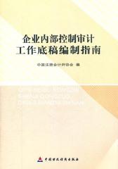 企业内部控制审计工作底稿编制指南