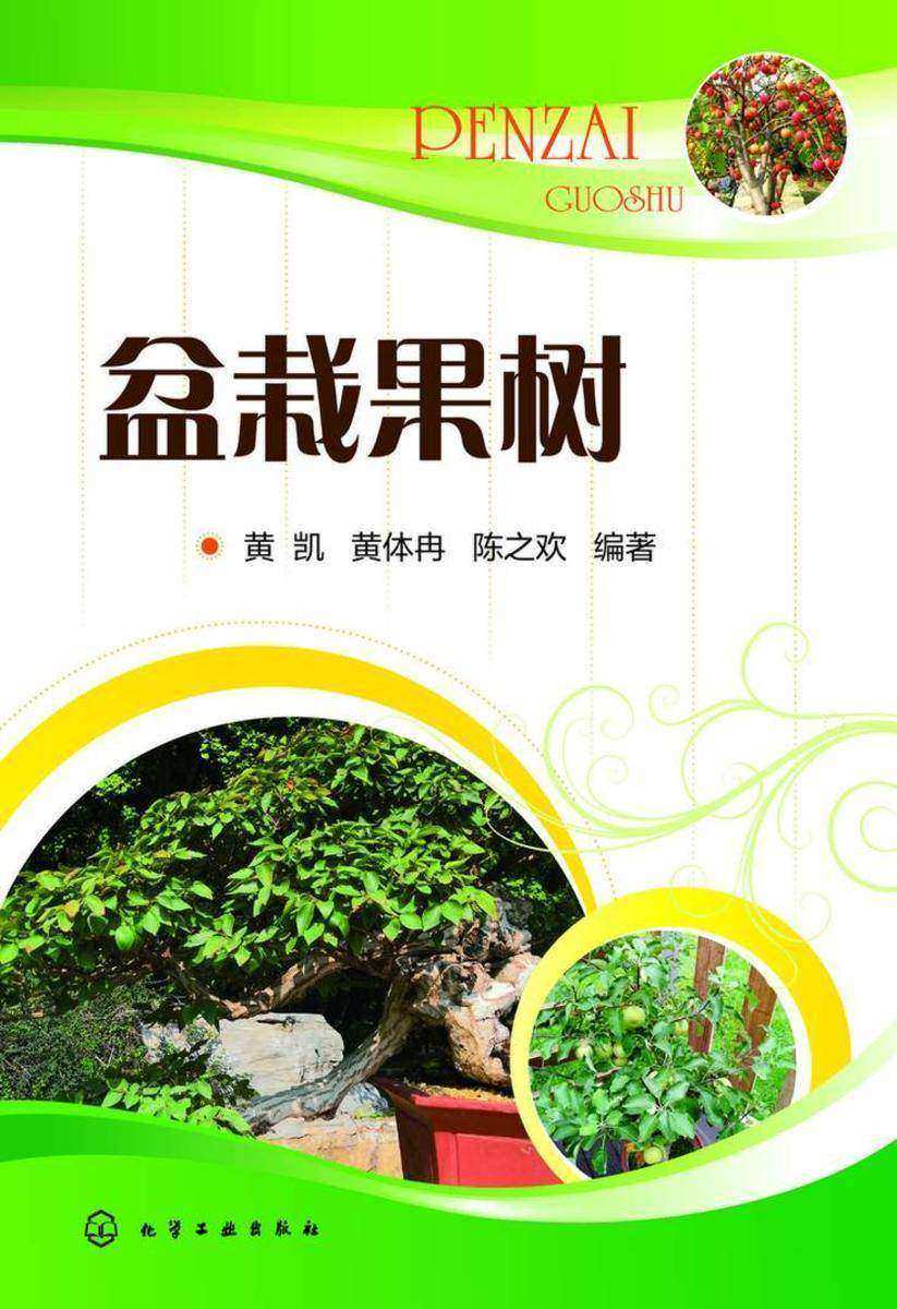 盆栽果树