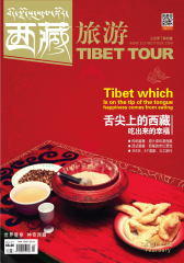 西藏旅游 月刊 2013年2月(电子杂志)(仅适用PC阅读)