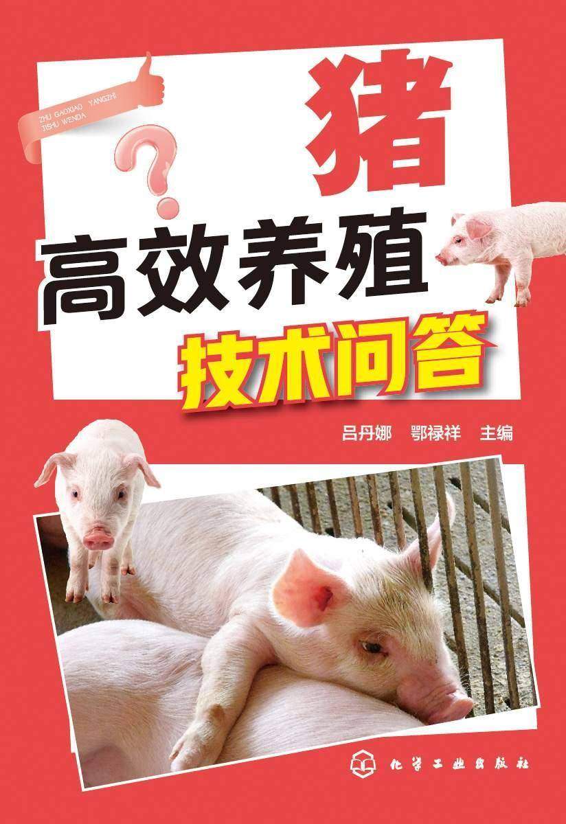 猪*养殖技术问答