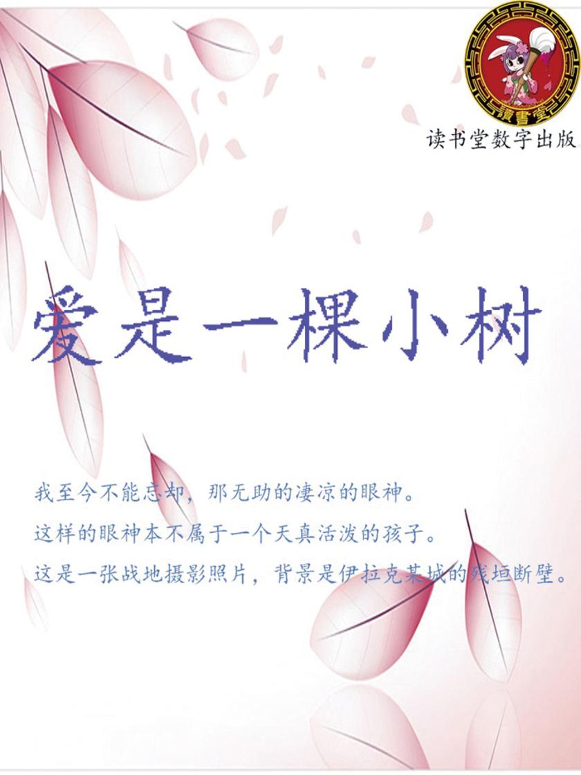 爱是一棵小树