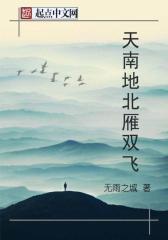 天南地北雁双飞