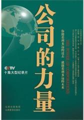 公司的力量(试读本)