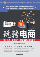 玩转电商：商业分析＋运营推广＋营销技巧＋实战案例