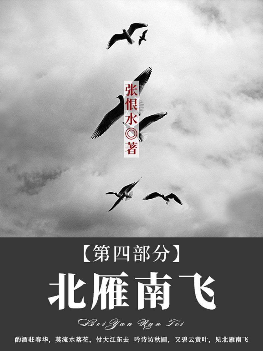 张恨水经典作品:北雁南飞·第四部分
