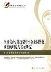 全球竞合：科技型中小企业网络化成长的理论与实证研究