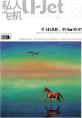 私人飞机 月刊 2014年2月(电子杂志)(仅适用PC阅读)