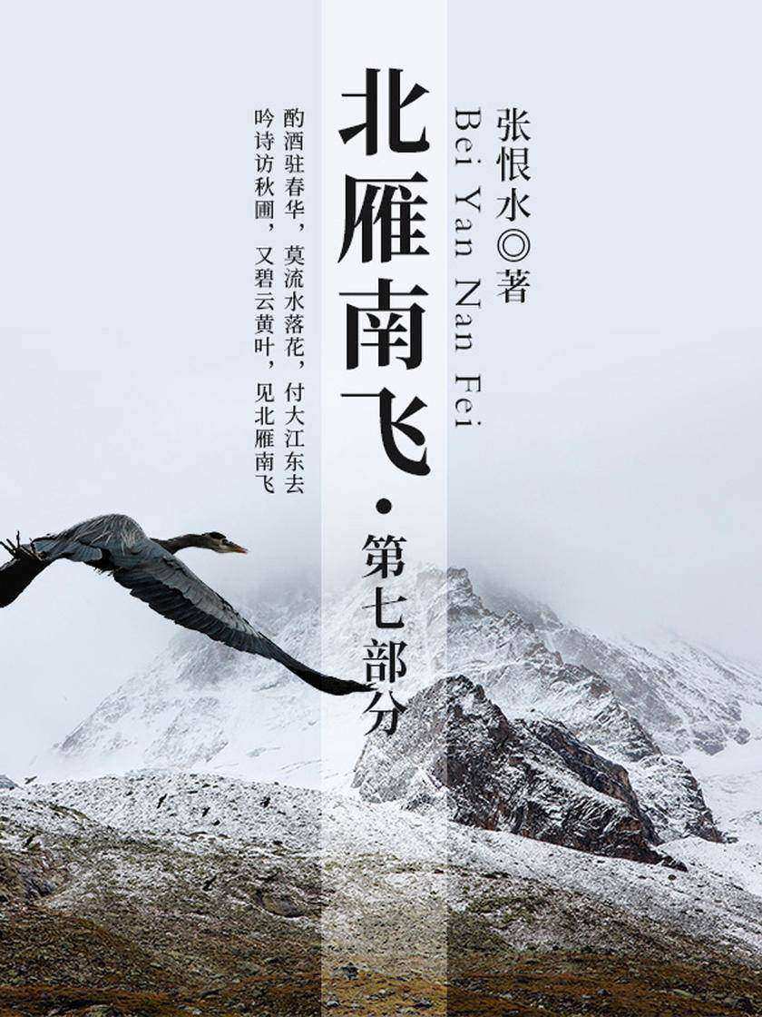 张恨水经典作品:北雁南飞·第七部分