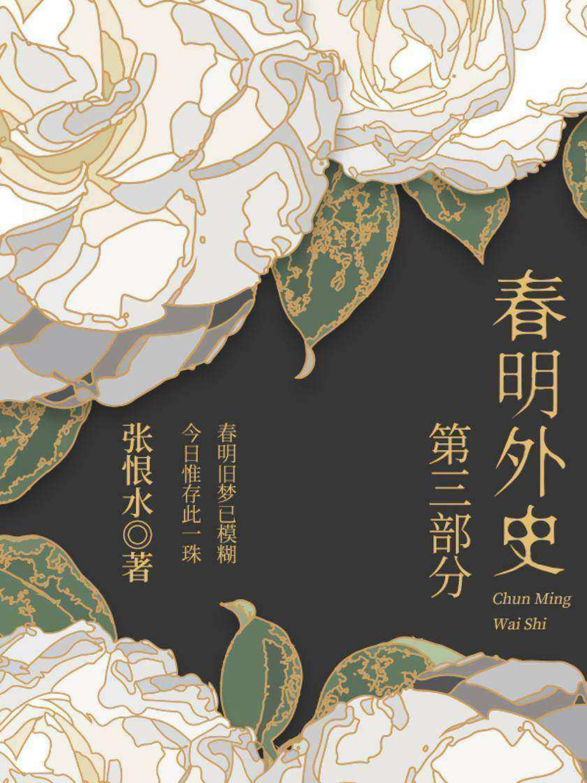 张恨水经典作品:春明外史·第三部分
