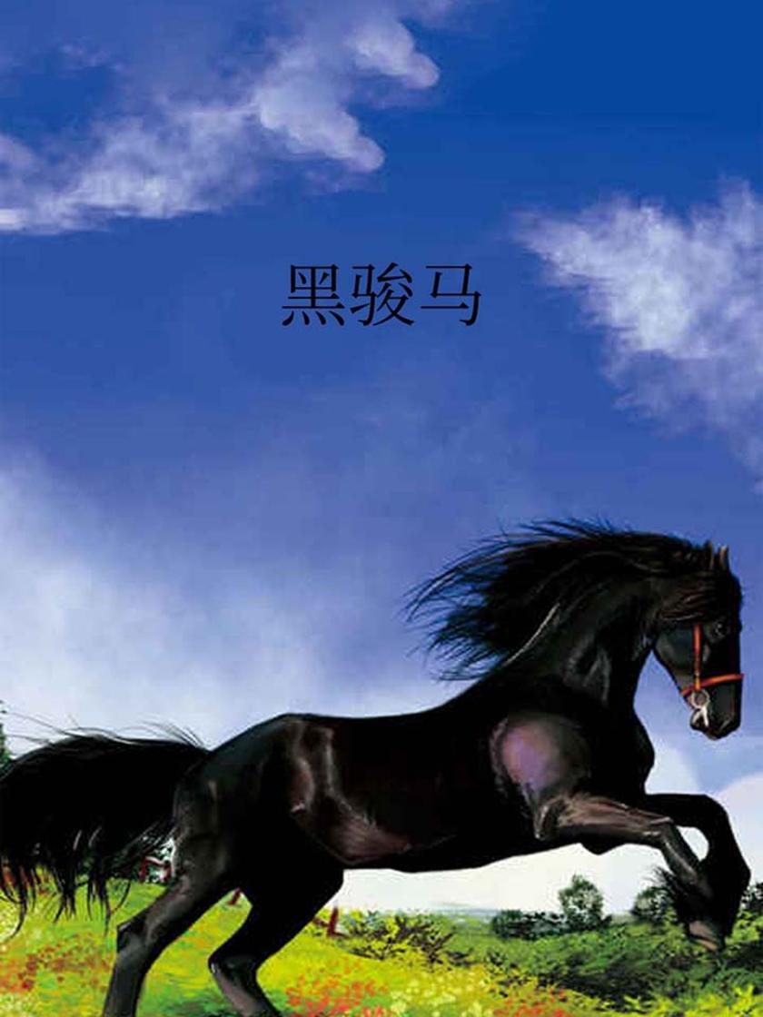黑骏马