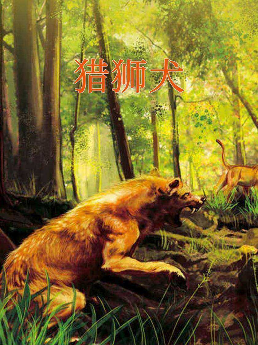 猎狮犬
