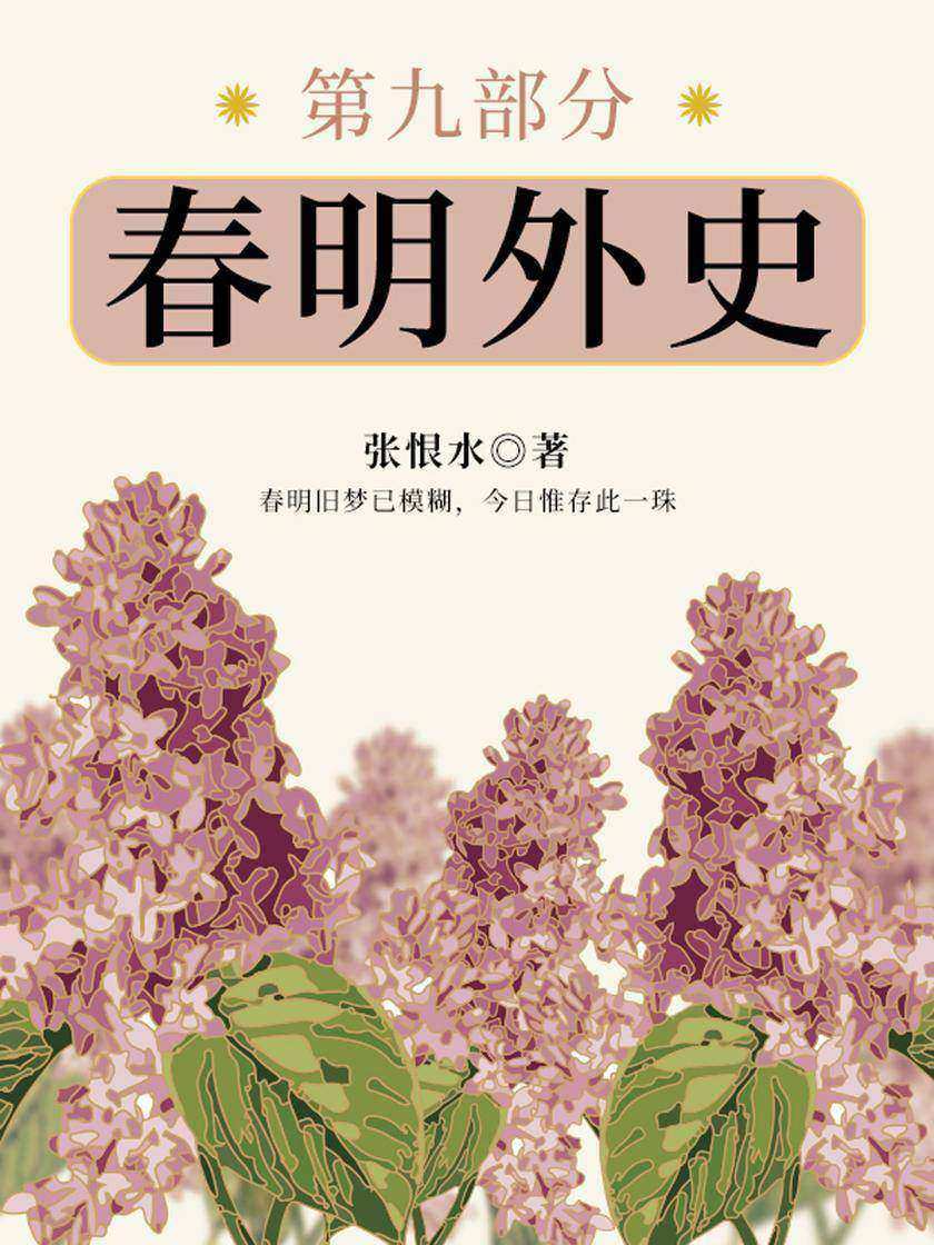 张恨水经典作品:春明外史·第九部分