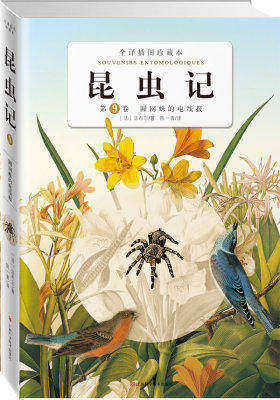 昆虫记:第九卷圆网蛛的电线报(试读本)