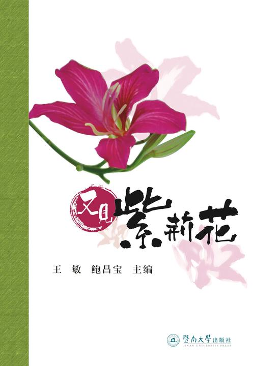 又见紫荆花