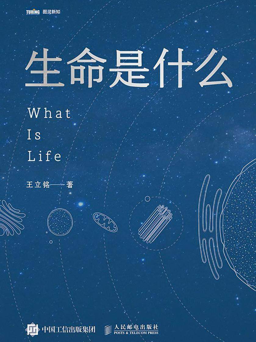 生命是什么