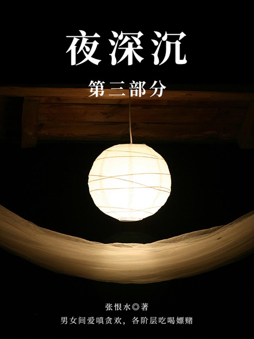 张恨水经典作品:夜深沉·第三部分