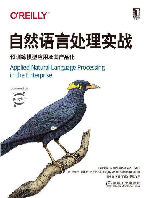 自然语言处理实战:预训练模型应用及其产品化
