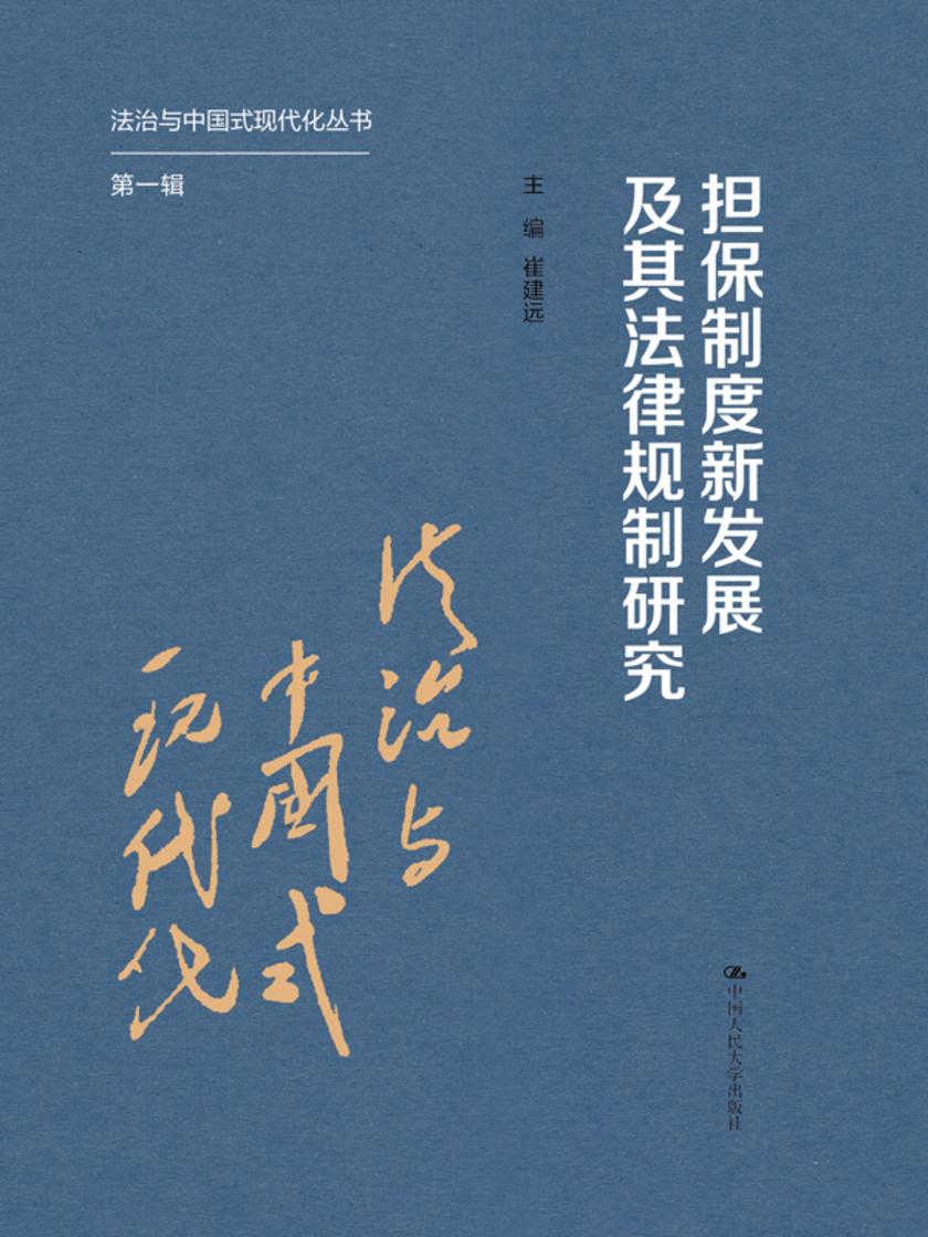 担保制度新发展及其法律规制研究