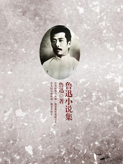 鲁迅小说集