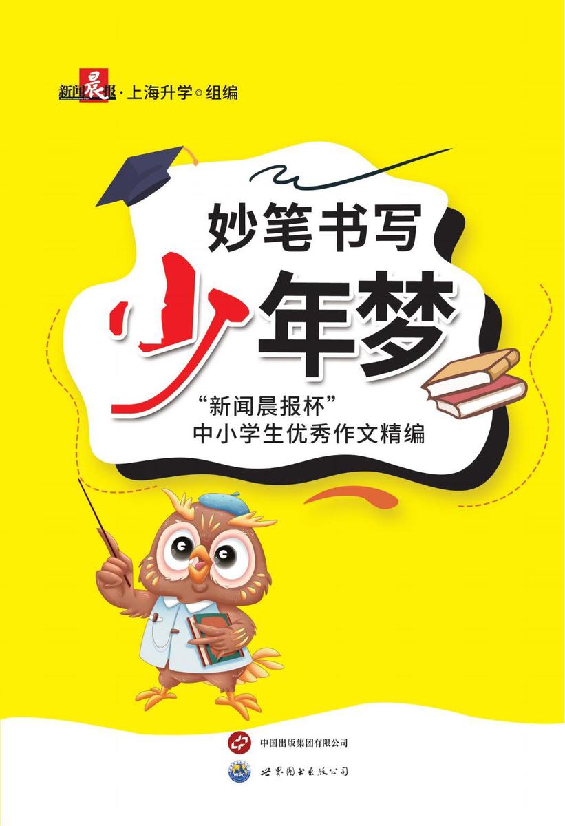妙笔书写少年梦