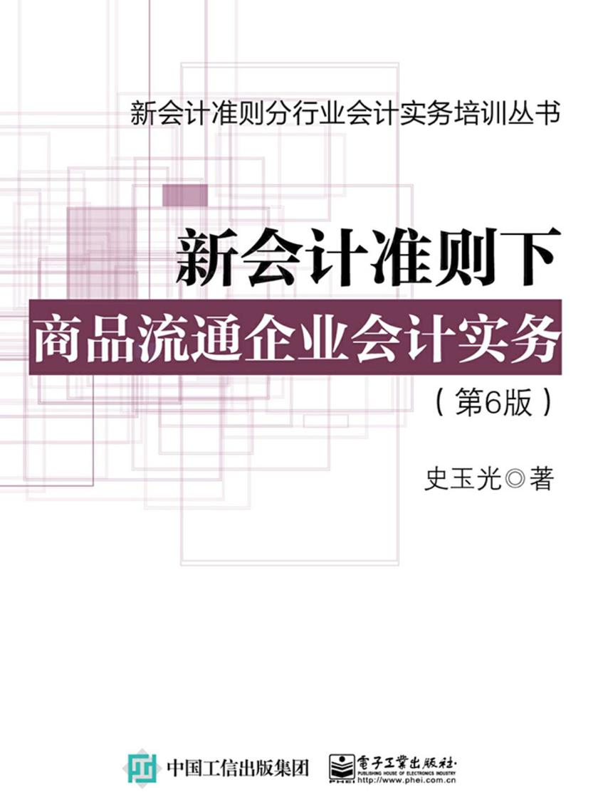 新会计准则下商品流通企业会计实务(第6版)