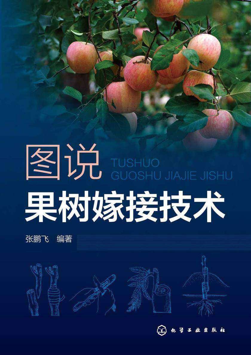 图说果树嫁接技术