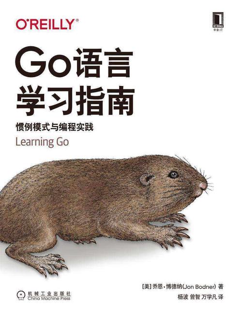 Go语言学习指南:惯例模式与编程实践