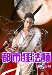 都市狂法师9