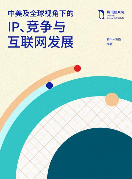 中美及全球视角下的IP、竞争与互联网发展