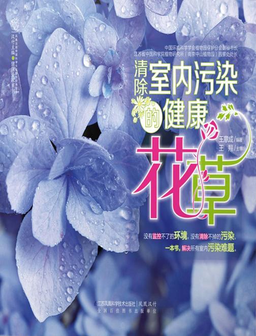 清除室内污染的健康花草