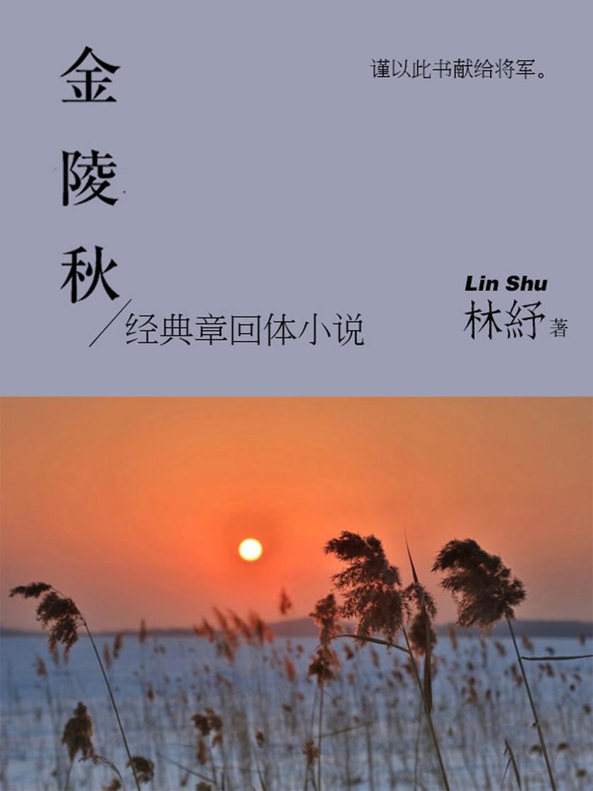 林纾经典小说:金陵秋