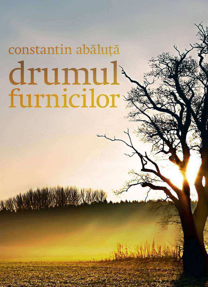 Drumul furnicilor