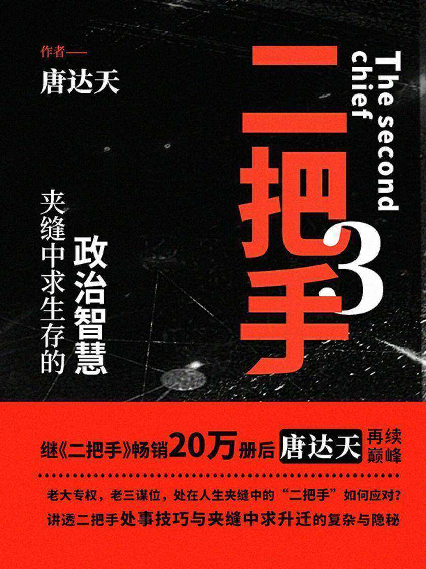 二把手3