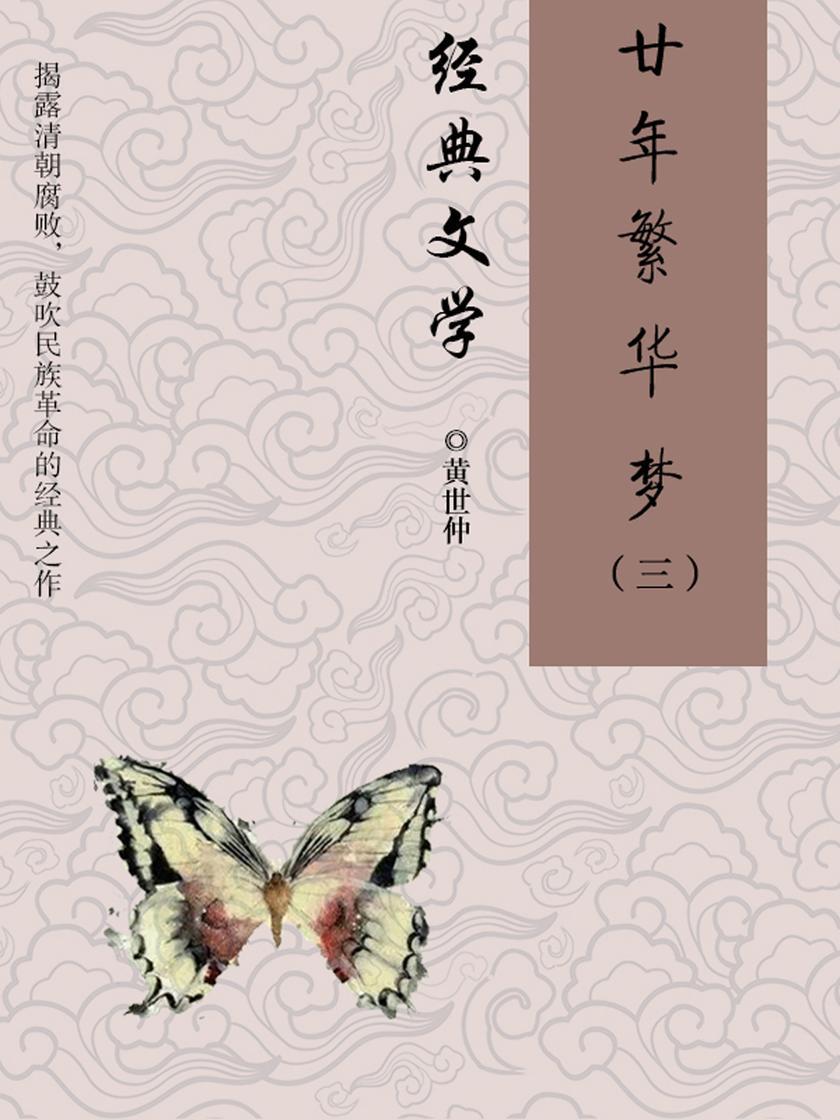 经典小说:廿年繁华梦(三)