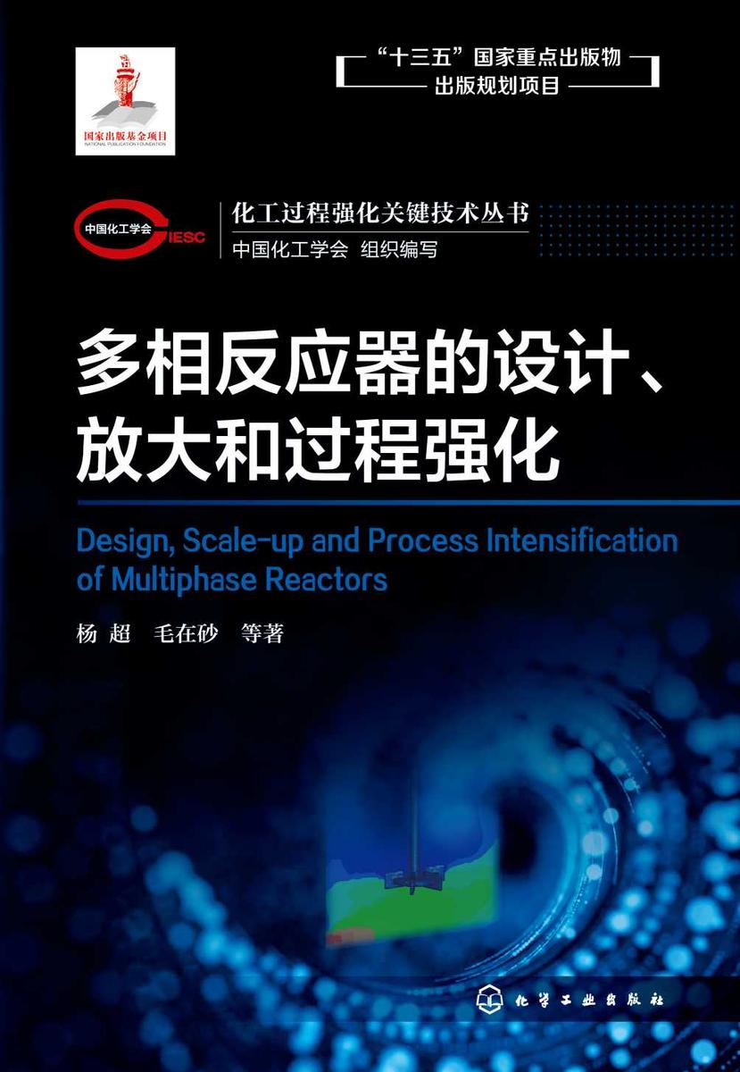 化工过程强化关键技术丛书--多相反应器的设计、放大和过程强化