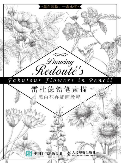 雷杜德铅笔素描 黑白花卉插画教程