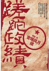 蹉跎政绩(试读本)