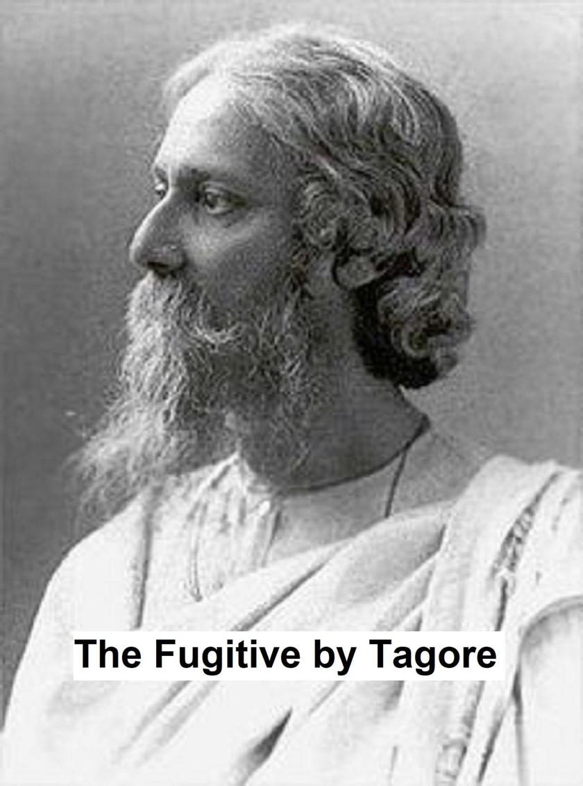 The Fugitive