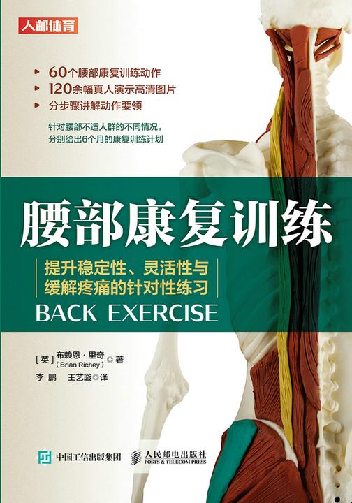腰部康复训练:提升稳定性、灵活性与缓解疼痛的针对性练习