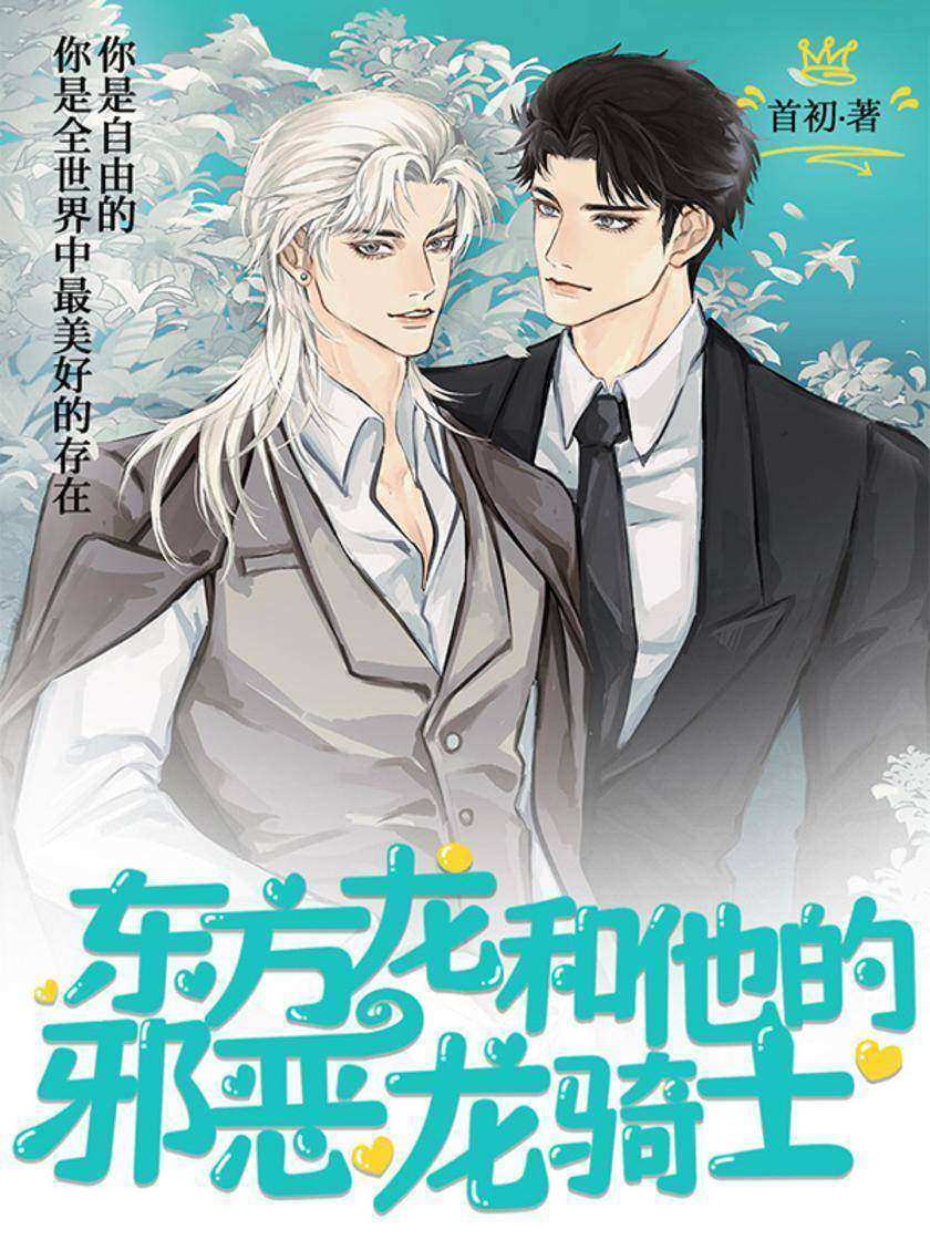 东方龙和他的邪恶龙骑士