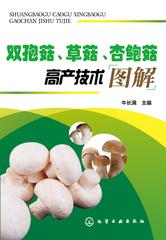 双孢菇、草菇、杏鲍菇高产技术图解