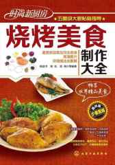 烧烤美食制作大全