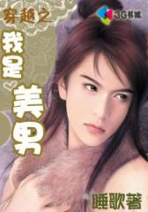 穿越之我是美男（本月完--第3部
