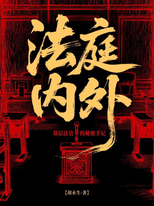 法庭内外:基层法官的秘密手记