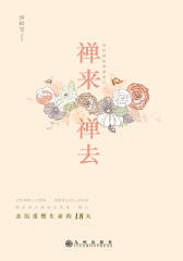 禅来禅去：亲历重塑生命的十八天