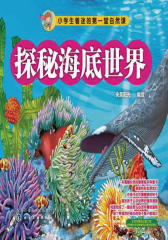 小学生着迷的第一堂自然课：探秘海底世界